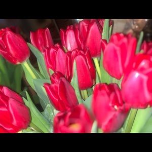 Meet your Posher, Beth